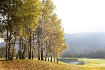 ★ 버치힐+버치힐(카트포함)