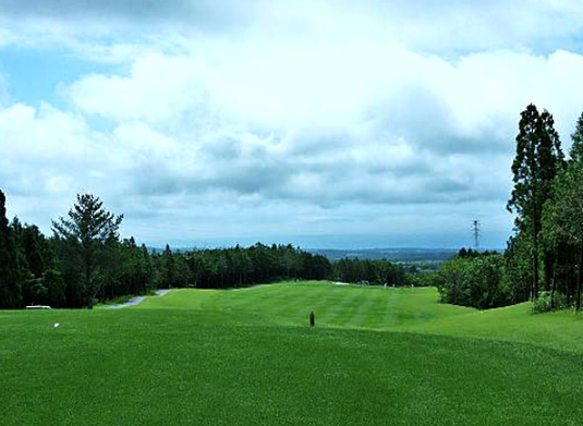 스프링데일+그린필드