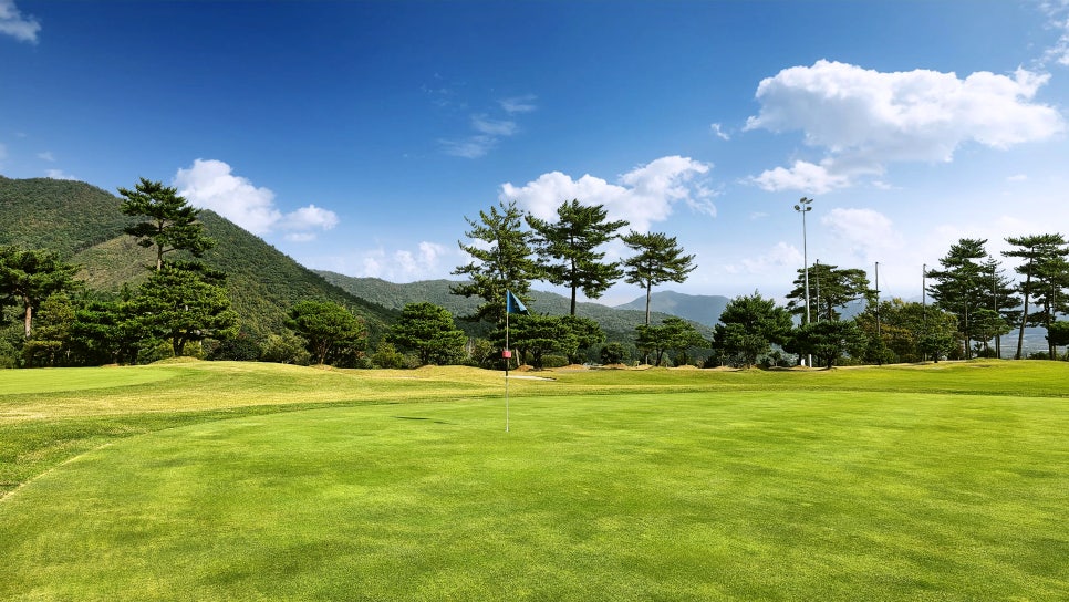 보성CC
