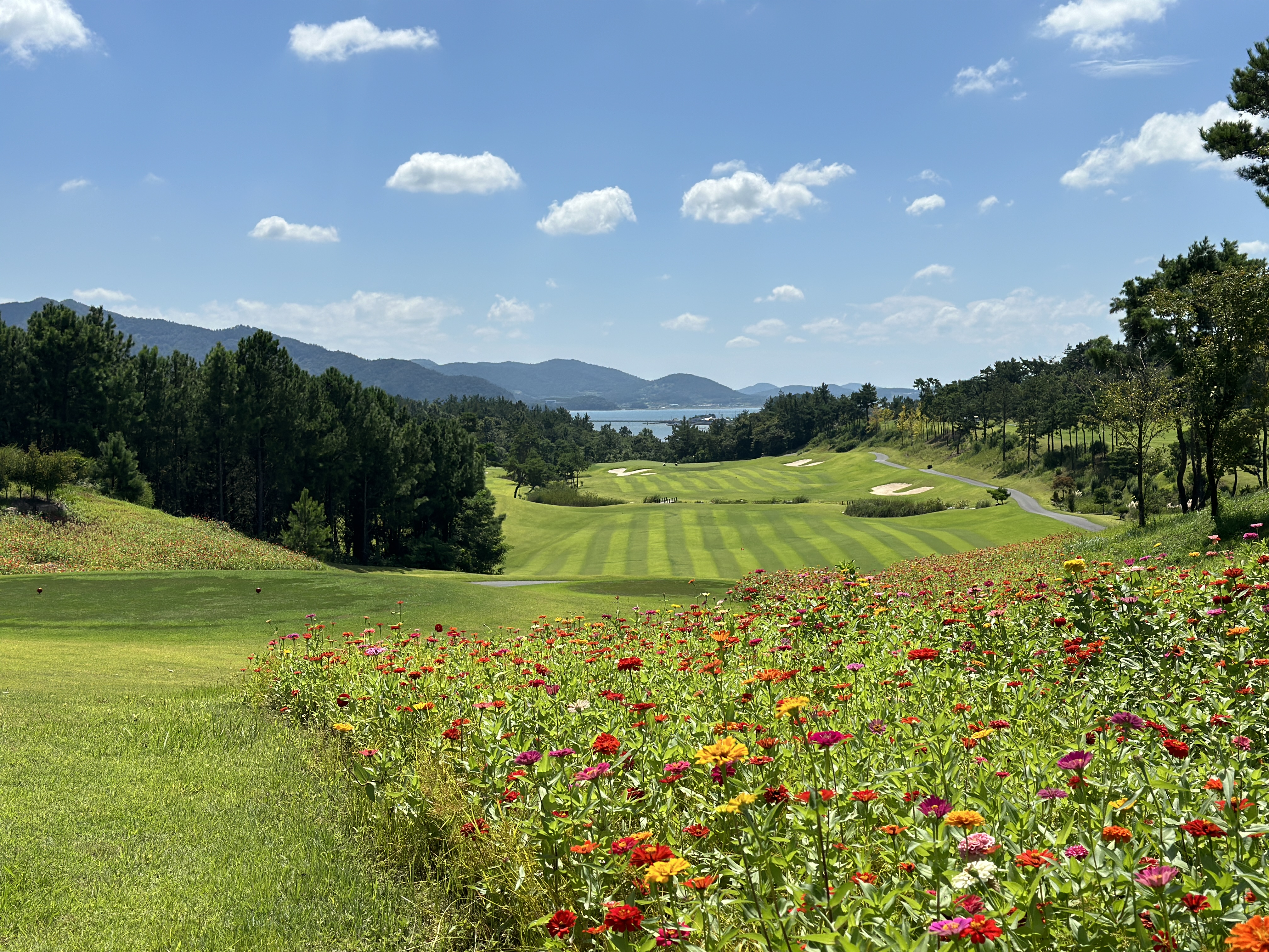 다산베아채[카트포함]