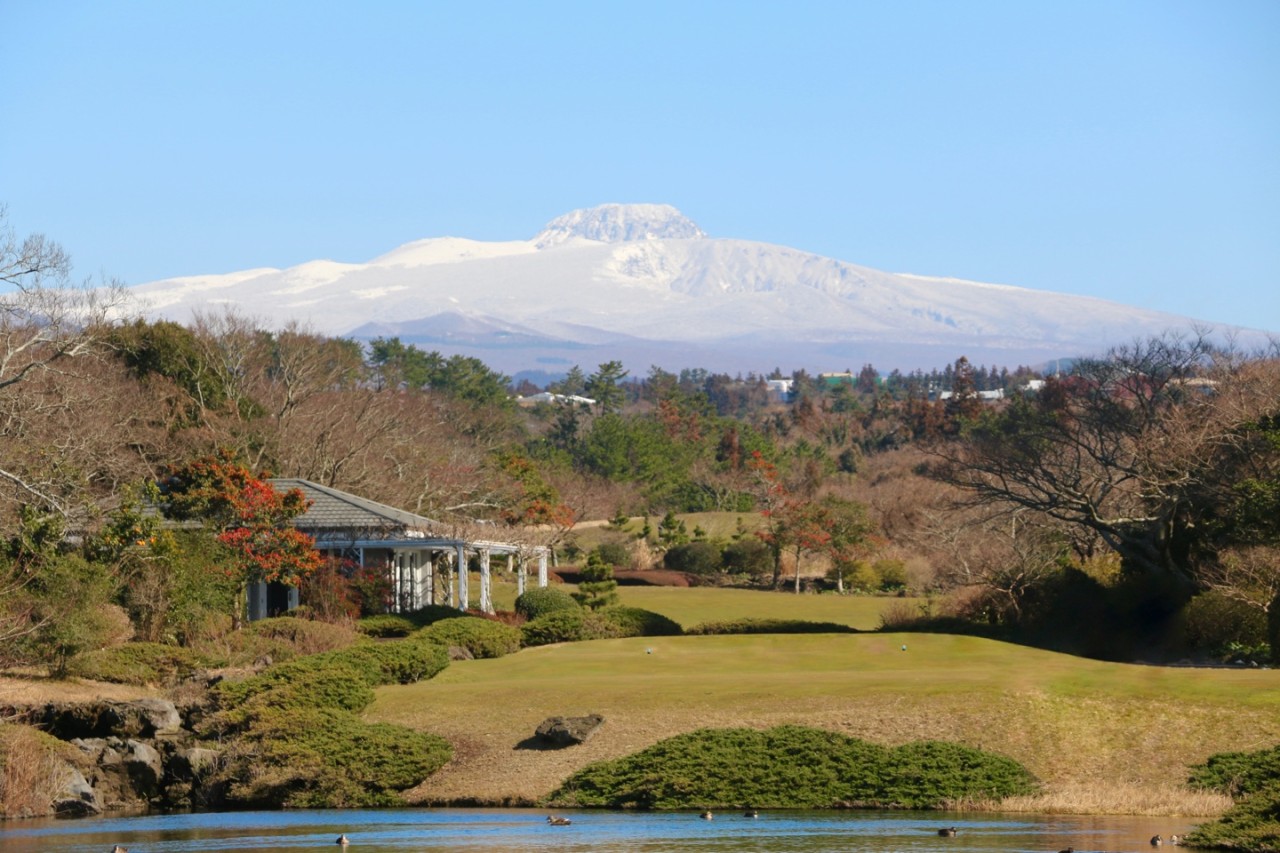 라온+타미우스+블랙스톤
